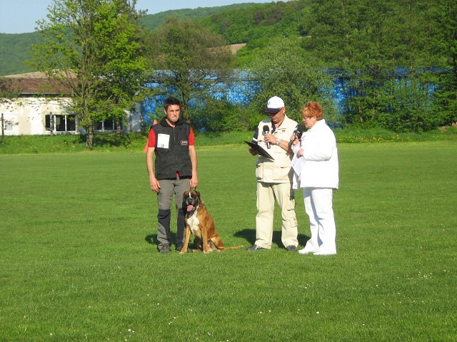 www.atibox.net * www.euroboxer.eu * www.boxergenealogia.eu